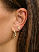 Single fiorita stud GP