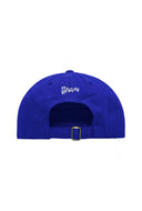 Blauwe pet pool position
