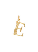 Gouden hangertje E initial muse necklace charm