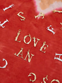 Gouden hangertje E initial muse necklace charm