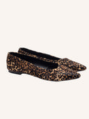 Ballerina may leopard