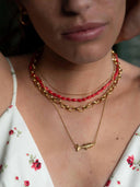 Gouden vis ketting
