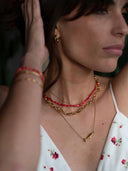 Gouden vis ketting