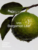 Roomspray bergamot leaf no.05 100ml